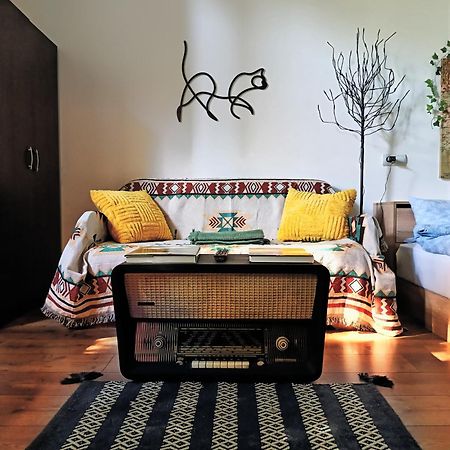 Small Apartment - Historic House คลูจ-นาโปกา ภายนอก รูปภาพ